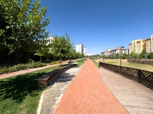 A vibrant, sunny park walkway with trees and buildings in Elâzığ, Türkiye. — What It Takes To Make Successful PPC Campaigns